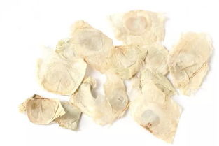 这个教师节,只想和你说说 喉痹