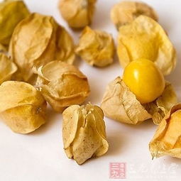 锦灯笼是什么 锦灯笼的11个药理作用 