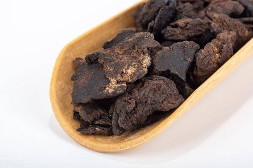 清热凉血第一药 生地黄