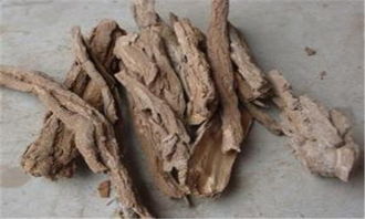 枸杞根的作用 枸杞根是一味很好的药材