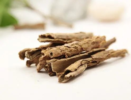 地骨皮的功效与作用,地骨皮的正确吃法有哪些