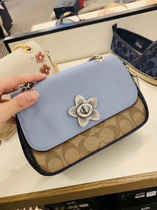 Coach山茶花链条包 