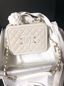 chanel 复古相机包 vanity case