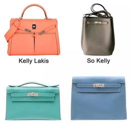 爱马仕Hermes Birkin 最火的 7 款包包大盘点