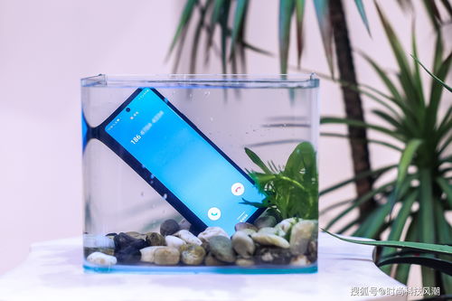 融汇潮流科技 三星Galaxy Z Fold3 Flip3 5G上海亮相