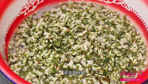 五月槐花正当季,不喜欢吃 教你做成茶,没事泡一杯,香