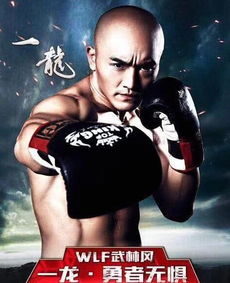 香港影星陈国坤力挺一龙对战跨界之王,一龙 感谢国坤兄支持