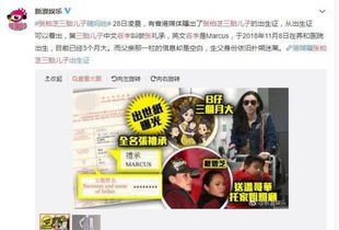 张柏芝三胎儿子出生证流出,意外曝光小儿子姓名,生父至今未明 