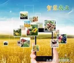 错过这篇文章,你可能错过一个亿 加入王者资本