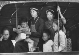 饥饿1962 大逃港实录 