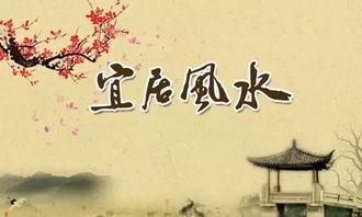 风水 看相 算命本质是什么 知道了改命不难 