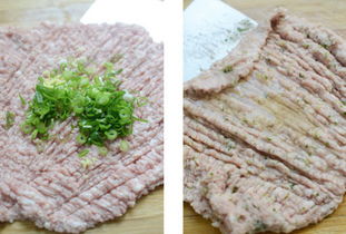 汆猪肉丸怎么做好吃,汆猪肉丸的家常做法 