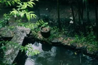 Water哲理 人生由我不由天,幸福由心不由境 ,只要你心中有阳光,无论走到哪里,无论发生任何事情,你都会觉得是幸福的 搜狐文化 搜狐网 