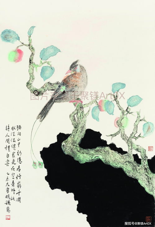 最贵的 鸟书