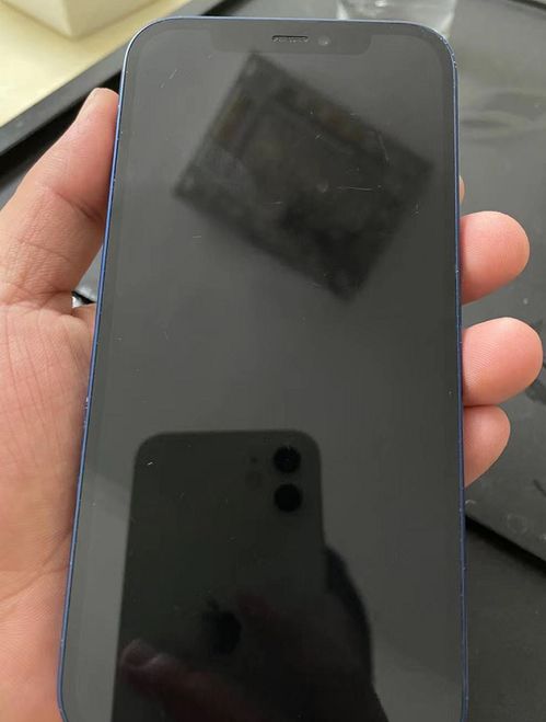 黑解iPhone性价比最高,各位看官没意见吧