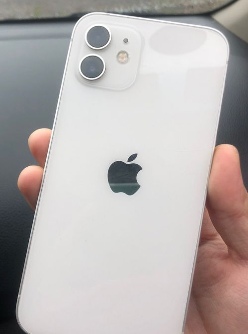 现阶段买哪款iPhone性价比高 非iPhone12莫属