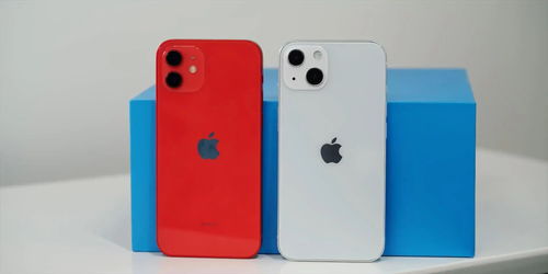 买iPhone12还是等iPhone13 线下店老板说了3点,网友不纠结了