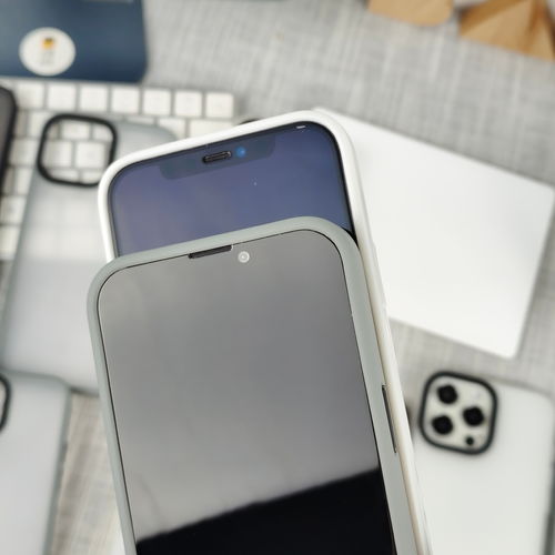 天风分析师郭明錤 iPhone 13系列平均售价上涨 最高可选1TB