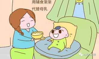 瞎传断奶指标,坑了无数妈妈和孩子 但该断时,别犹豫 