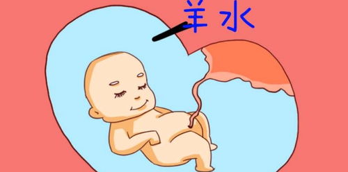 胎儿在妈妈肚子里 头朝下 不难受吗 看完就知道宝宝有多爱你