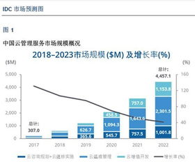 IDC 中国云管理服务市场将爆发 神州数码成绩亮眼