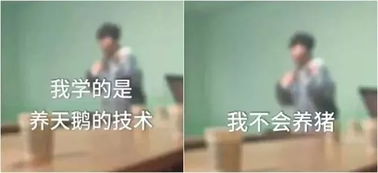 幼儿园园长 只养天鹅不养猪 孩子学会的所有歧视都是大人教会的