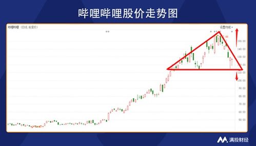 小破站 出圈,B站全年营收增长近80
