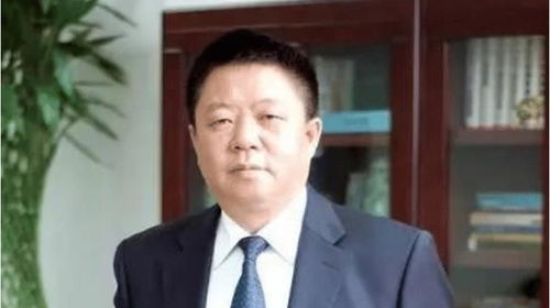 金鹰影后与富豪丈夫离婚后,登上富豪榜,再婚张嘉译,人生巅峰 王海燕 婚姻 袁金华 