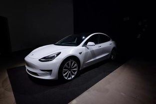 特斯拉的同门师兄弟,Model 3 和Model S怎么选