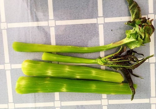 3月宁可少吃肉,也别放过这6种蔬菜,鲜嫩便宜营养足,要多吃
