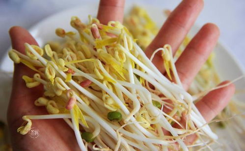 3月宁可少吃肉,也别放过这6种蔬菜,鲜嫩便宜营养足,要多吃