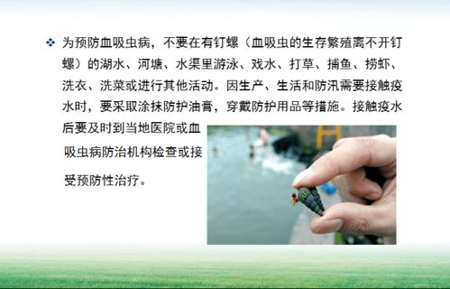 1 54 168最快圈速 浙赛一战封神 雪佛兰迈锐宝XL荣膺20万元内最速量产车
