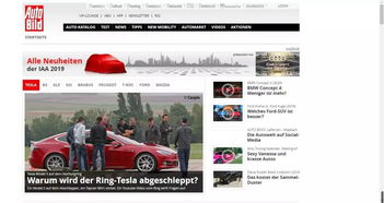 德国每5人里就有一人持有域名 .de拥有1626万注册量