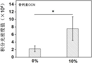 清华大学 静电纺丝构建骨诱导膜