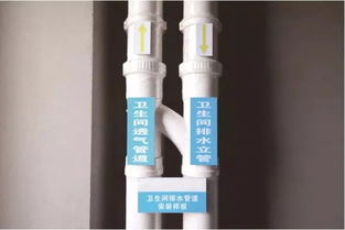 碧桂园项目标准化管理照片,铝模支撑体系样板