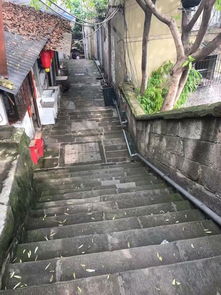 重庆山城步道 