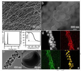 厦门大学Nano Energy 相互连接的核壳碳纳米球构建纤维网用于高性