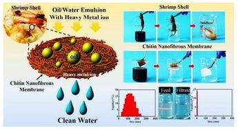 受虾壳启发构建纳米纤维膜用于高效分离油 水乳液和去除重金属离子