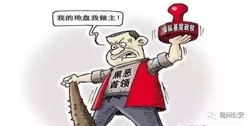 扫黑除恶 创造安全稳定社会环境