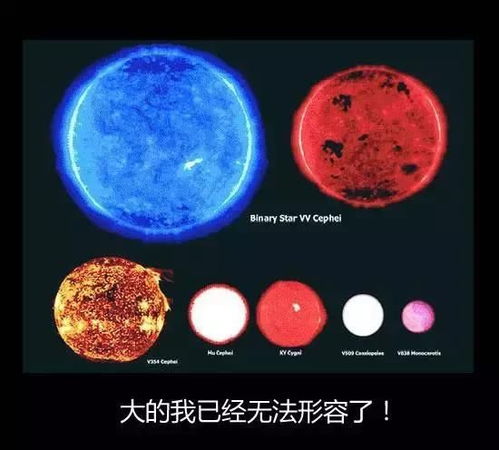 把宇宙的历史压缩到一年,了解世间万物是如何演变的