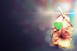 唯美的句子 阅读 国内外优秀美文欣赏 eGouz上网导航 