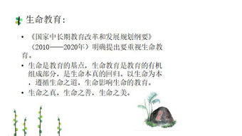 挚爱真善美 关切天地人 走近 行知教育 