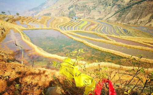 暑期热门城市 排行出炉,重庆名列第2,铁路航空纷纷加班
