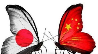 印度高铁被日本狠宰 后悔当初没选中国