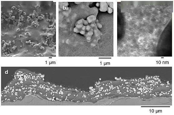 Nature 太阳光催化分解水制氢的 大 突破