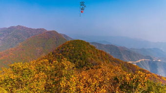 山西的云丘山,已经换上初秋的黄衣裳等你了