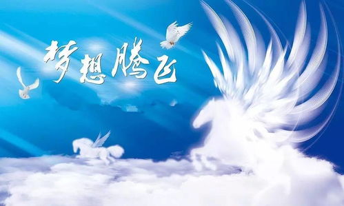 公益新闻005期 何以腾飞,唯有诗歌 主播 东明 由新疆分社提供