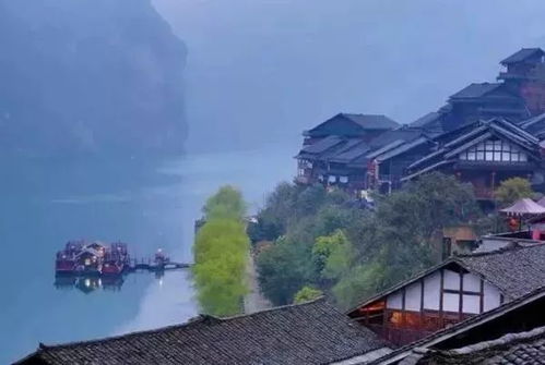 世界上有两个桃花源,一个在你心里,一个在酉阳 