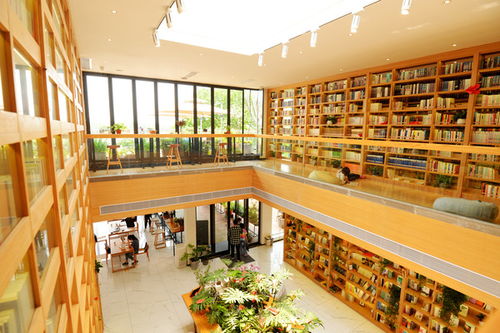 南昌最美书店,画中的艾溪湖美书馆,我是去看书还是该拍照