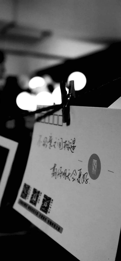 以色列女兵驾战车狂飙 